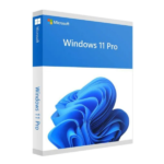 Windows 11 Pro 64 Bit