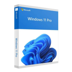 Windows 11 Pro 64 Bit