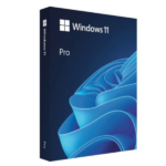 Windows 11 Pro 64 Bit